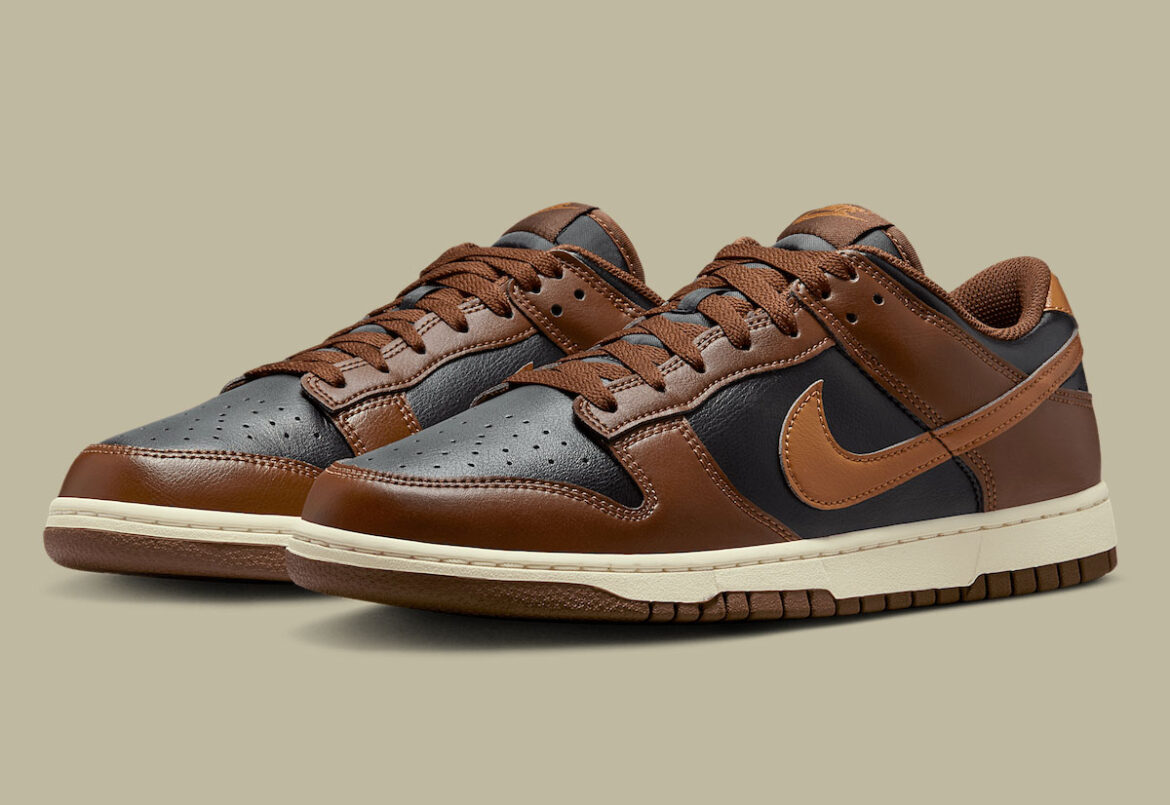 Nike-Dunk-Low-Brown-Black-HF5441-004-5.jpg
