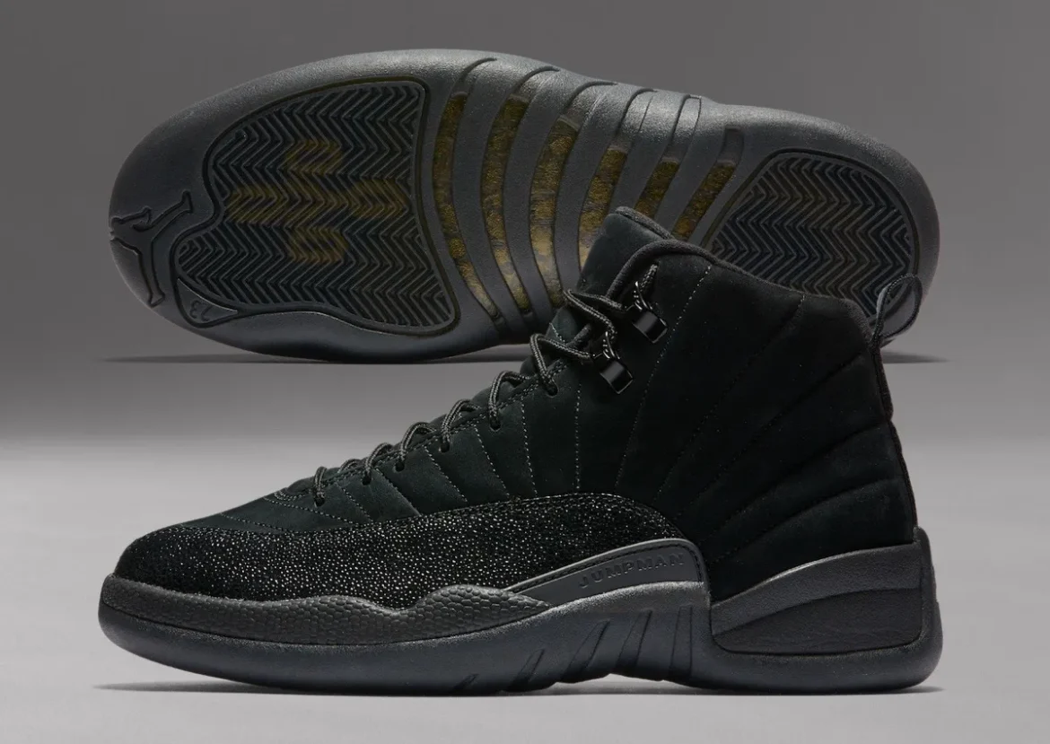 ovo-air-jordan-12-black-2017.webp.webp