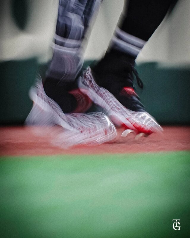 air-jordan-11-tokyo-giants-cherry-blossom-pe-cleats-9.jpg