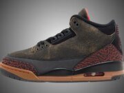 Air Jordan 3 Not Nice IF4396-001