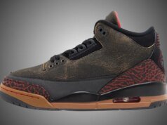 Air Jordan 3 Not Nice IF4396-001