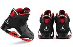 Air Jordan 6 Iridescent Bred Looksee Sample