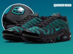 Nike Air Max Plus Dusty Cactus IV5756-001
