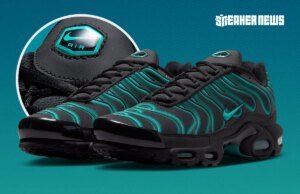 Nike Air Max Plus Dusty Cactus IV5756-001