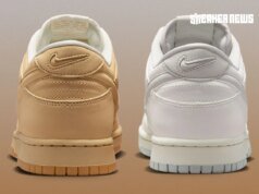 Nike Dunk Low “Bubble Swoosh” Pack