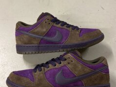 Nike SB Dunk Low “Dark Hazel” Releasing Spring/Summer 2027