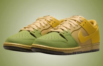 Nike SB Dunk Low Hatch Chili IO0427-300