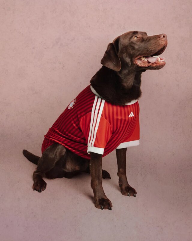 adidas-club-football-fc-collection-for-pets-11.jpg