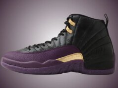 Air Jordan 12 Sumo IW1218-098