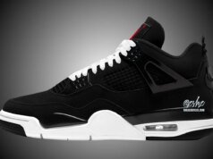Air Jordan 4 Bloodline FV5029-005