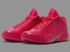 Official Images Of The Air Jordan 41