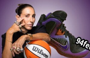 Diana Taurasi Nike LeBron 9 PE Black Court Purple 2027
