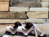 The New Balance 9060 Pours A Contemporary “Thunder Brown/Black Coffee”