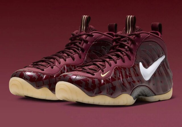 nike-air-foamposite-pro-florida-state-seminoles-fsu-ix2095-600-4.jpg
