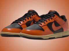 Nike Dunk Low Campfire Orange IM4415-800