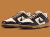 The Nike Dunk Low Scribbles Out A Collegiate “Shadow Brown”