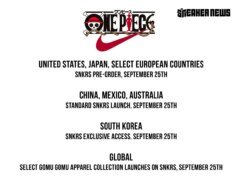 How To Buy The One Piece Nike Air Max Plus