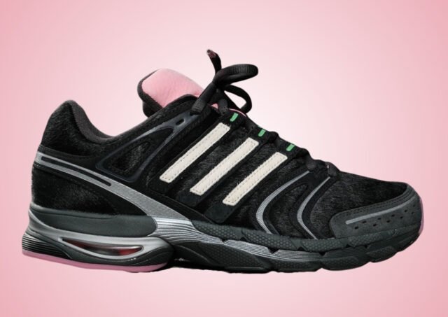unheardof-adidas-adistar-control-5-doggy-runner.jpg
