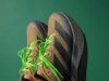 Up There Debuts adidas EVO SL ATR Collaboration